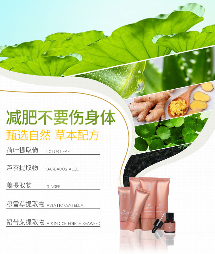 减重-详情图_07.jpg